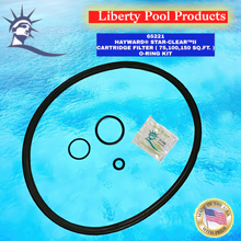 65221 - HAYWARD® STAR-CLEAR™ II
CARTRIDGE FILTER (75, 100, 150 SQ.FT.)