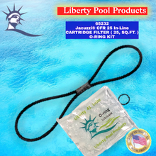 65232 - 
JACUZZI® CFR 25 IN-LINE
CARTRIDGE FILTER (25 SQ.FT.)