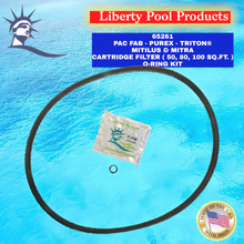 PAC FAB/PUREX/TRITON® MITRA
CARTRIDGE FILTER (60 SQ.FT.)