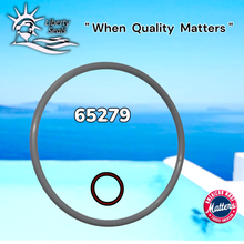 WATERWAY™ / LEISURE BAY TOP LOAD CARTRIDGE FILTER