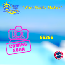 STA-RITE® HIGH RATE 36” SAND FILTER