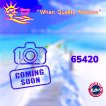 65420		HAYWARD® PERFLEX® DE FILTER  (EC-65 & EC-75)