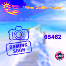 65462		Pac Fab - Purex - Triton - 2000 Series Sand Filter Coll & BW