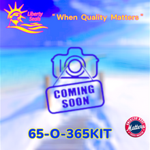 STA-RITE® PVC VALVE - WC298-88