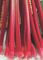 rhubarb-c.jpg