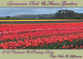 2026 Calendar and Bulb Planting Diary