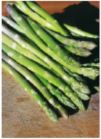 Asparagus Mary Washington