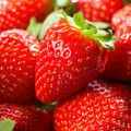 Elan - Strawberry