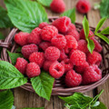 Raspberries - Chilcolton