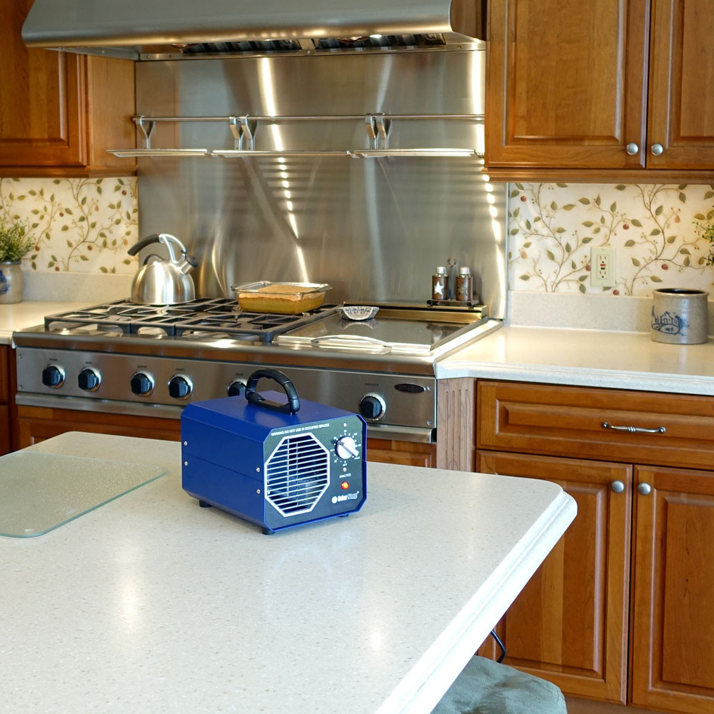 OS1200/12G - Ozone Generator with 1 Ozone Plate for 1200 Square Feet +