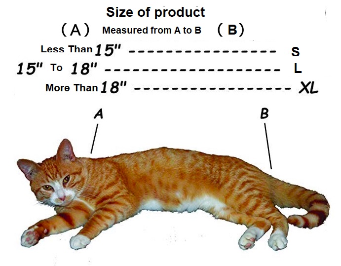 size.jpg size.jpg