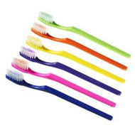 Prepasted Disposable Toothbrush