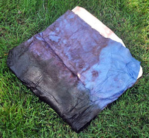 backpack-blueberry-wet-wrapped-72-300.jpg