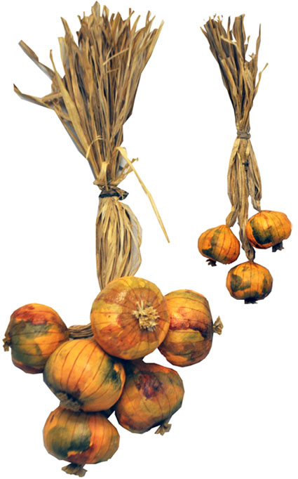 italian-onion-cluster-bunch-comp-2-72-425.jpg