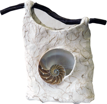 sliced-nautilus-color-correct-cutout-350.jpg