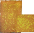 #29214 Solar Handmade Paper, "Butterscotch w/Lemon"   
22" x 30" sheet has a bright yellow pulp design embedded in the darker gold pulp