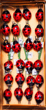 #59115-24 Button Ladybugs - "Swarm" of 24 
When a small "handful" of the little ladies just isn't enough, you can get an entire "swarm" of 24 & they're cheaper by the dozen (well, 2 dozen) 