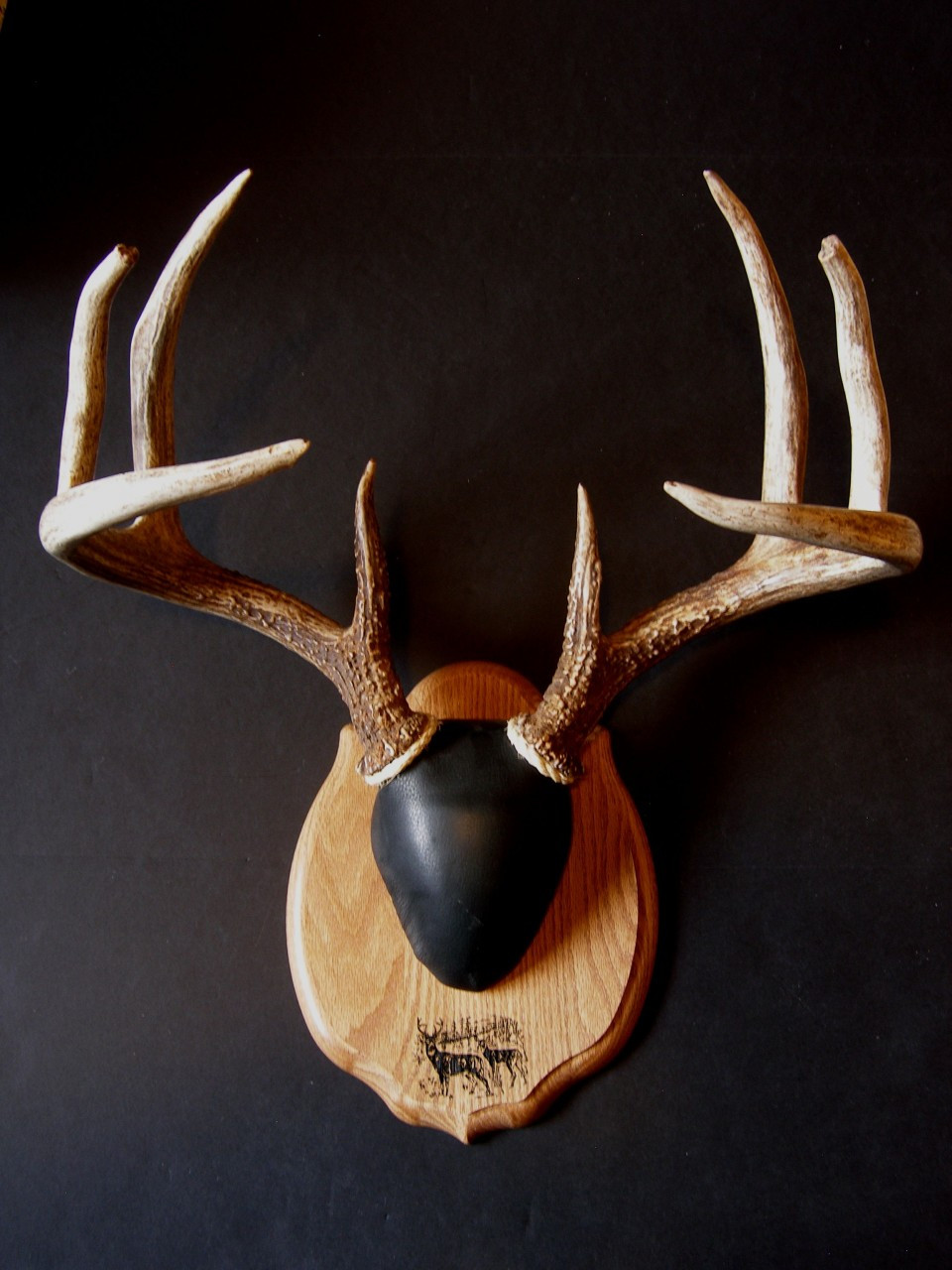 Antler Mount Kit Laser Engraved Deer Whiskey Legends   Laser Deer Antlers  33617.1356017434.1280.1280 