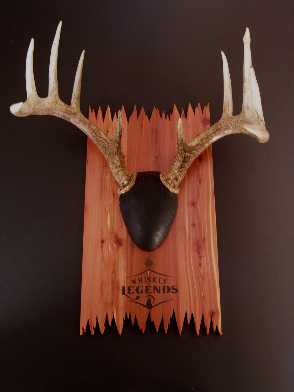 Antler Mount Kit- DeadEnd Deer - Whiskey Legends