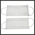 Cleanroom 2 Ply Facemask