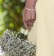 Dainty felicity diamante / cubic zirconia bracelet, lovely for petit sizes