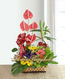 Flower delivery Bangkok