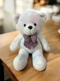 A2 / 750 THB / 13-Inch Teddy Bear