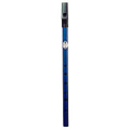 Acorn Classic Pennywhistle (Blue)