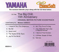 The Big Chill - 15th Anniversary - Piano Software