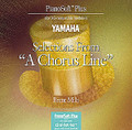 Selections from A Chorus Line