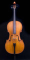 RENTAL: Euro Basic Solid Carved with Antique Oil Varnish Cello