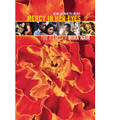 Mercy In Her Eyes (The Films Of Mira Nair)