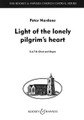 Light Of The Lonely Pilgrim's Heart