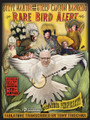 Steve Martin - Rare Bird Alert