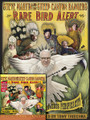 Steve Martin - Rare Bird Alert (Book/CD Bundle Pack)