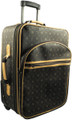 20" Pull Suitcase French Design