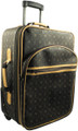 24" Pull Suitcase French Design