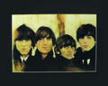 Beatles - Early Days - Color Poster