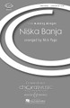 Niska Banja (SAAB/SSAA) (CME Building Bridges)