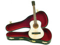 Mini Acoustic Guitar with Case 9"