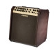 Fishman Loudbox Performer Acoustic  Amp