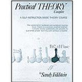 Feldstein: Practical Theory, Vol. 2