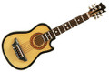 Acoustic Guitar Magnet Cutaway Body