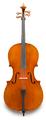 Eastman Master model 906 Cello