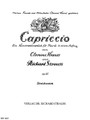 String Sextet (capriccio) Op. 85 Parts Str Chamber by Richard Strauss (1864-1949). For String Sextet (Parts). Boosey & Hawkes Chamber Music. 44 pages. Boosey & Hawkes #M060117312. Published by Boosey & Hawkes.

Chamber Music for Strings.