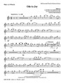 Ode to Joy by Ludwig van Beethoven (1770-1827). Arranged by Keith Christopher. For Choral (Orchestra). PraiseSong Choral. CD-ROM. Published by PraiseSong (HL.110222).

Here is an exciting instrumental arrangement based on the popular anthem of the same title. Rhythmic figures and harmonic turns will make this fun for players in every section of the orchestra. Score and parts (fl 1-2/pic, ob, cl 1-2, bn, asx 1-2, tsx, tpt 1-3, hn 1-2, tbn 1-2, tbn 3/tba, steel drum, guiro, agogo bells, triangle, low drum, vn 1-2, va, vc, db) available as a CD-ROM and as a digital download. Duration: ca. 2:30. NOTE: This work is a stand-alone orchestra arrangement, and is not compatible with the choral arrangement.

Instrumentation:

- FULL SCORE 24 pages - FLUTE 1,2/PICCOLO 2 pages - OBOE 2 pages - BASSOON 2 pages - BB CLARINET 1 & 2 2 pages - BASS CLARINET (SUB. BASSOON) 2 pages - LOW DRUM 2 pages

- GUIRO 2 pages - STEEL DRUM 2 pages - ALTO SAX 1,2 2 pages - TENOR SAX 2 pages - TRIANGLE 2 pages - BB TRUMPET 1 1 page - BB TRUMPET 2,3 1 page - F HORN 1 & 2 1 page

- TROMBONE 1 & 2 2 pages - TROMBONE 3/TUBA 2 pages - VIOLIN 1 1 page - VIOLIN 2 1 page - VIOLA 2 pages - CELLO 2 pages - KEYBOARD STRING REDUCTION 3 pages

- DOUBLE BASS 2 pages - AGOGO BELLS 2 pages