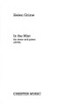 In the Mist. (Tenor and Piano). By Helen Grime. For Tenor, Piano Accompaniment. Music Sales America. Softcover. Chester Music #CH78265. Published by Chester Music.

Based on a text by poet Lloyd Schwartz. Composed at the Tanglewood Music Center in 2008. ca. 5 minutes.