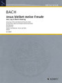 Jesu, Joy of Man's Desiring (Piano Trio Score and Parts). By Johann Sebastian Bach (1685-1750). Arranged by Wolfgang Birtel. For Piano Trio (Score & Parts). Schott. Book only. Schott Music #ED20687. Published by Schott Music.

Intermediate arrangement of this famous Bach tune. Perfect for weddings, recitals, and more.