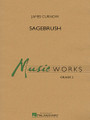 Sagebrush by James Curnow. For Concert Band (Score & Parts). MusicWorks Grade 2. Grade 2. Softcover. Published by Hal Leonard.

In the style of a lively hoedown, here is an entertaining fast-paced number that's fun to perform and will sound great. There is plenty of built in contrasts in scoring dynamics as well as carefully placed percussion effects. A perfect change of pace! Dur: 2:00.