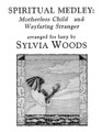 Spiritual Medley: Motherless Child and Wayfaring Stranger (Arranged for Harp). Arranged by Sylvia Woods. For Harp. Harp. Softcover. 8 pages. Published by Hal Leonard.

In this medley, Sylvia Woods has blended two beautful American spirituals about going “home” to heaven: Motherless Child (Sometimes I Feel like a Motherless Child) and Wayfaring Stranger. The music is in the key of E Minor (1 sharp) with no lever or pedal changes. Fingerings, chord symbols and lyrics are included. 5 pages of music for advanced beginners or intermediate harp players. The lowest note in the music is the E, almost 2 octaves below middle C.